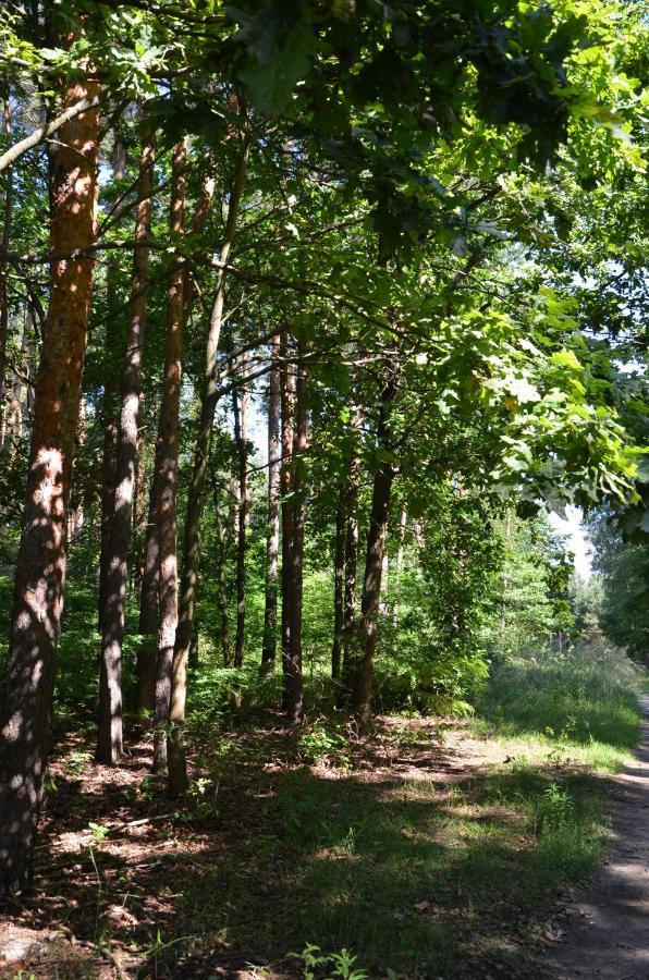 Agroturystyka Czekaj Przy Suntago Lublinow Exterior foto
